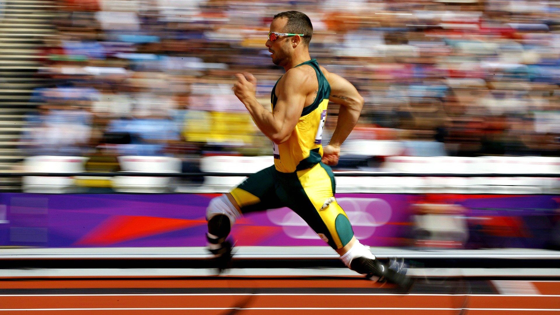 世界游泳锦标赛2026年将试点观众手机多机位自由切换